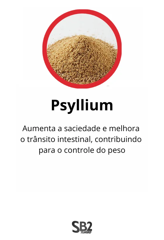 Psyllium-1-png.webp