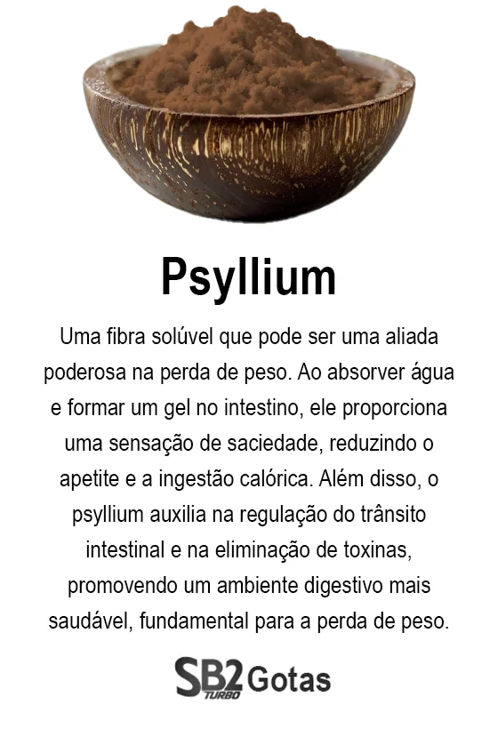 ingrediente-sb2-caps-2-turbo-psyllium2-png.webp