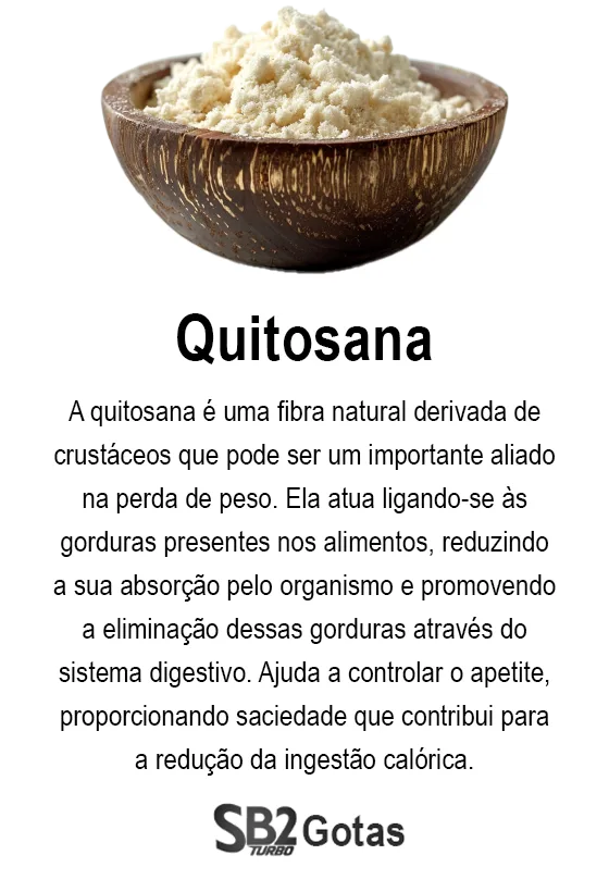 ingrediente-sb2-caps-2-turbo-quitosana-png.webp
