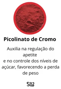 sb2-composicao-picolinato-cromo-png.webp